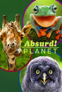 Absurd Planet